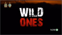 Wild Ones