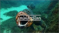 เสน่ห์สัตว์โลก