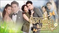 ดอกหญ้าในพายุ